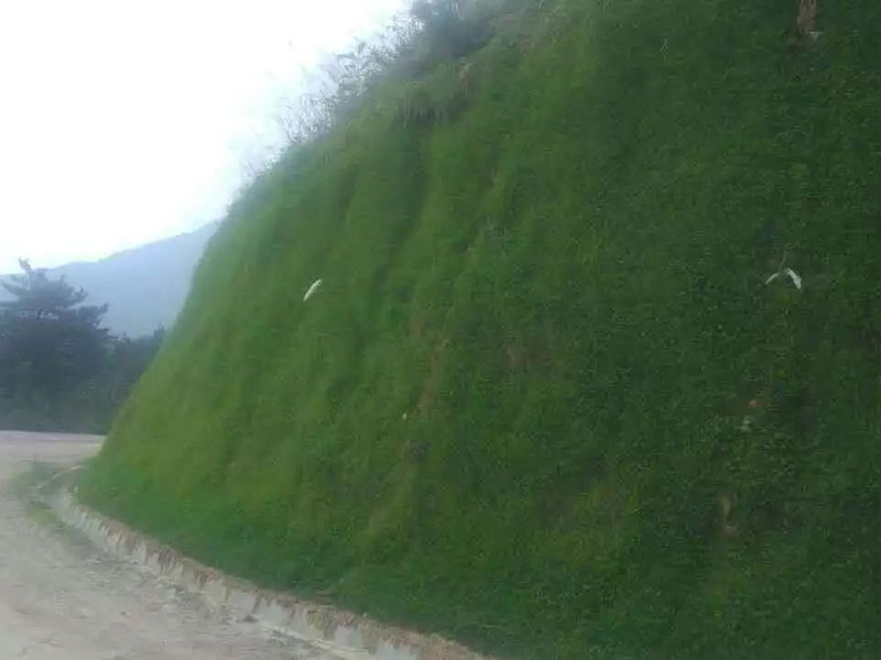客土噴播邊坡綠化
