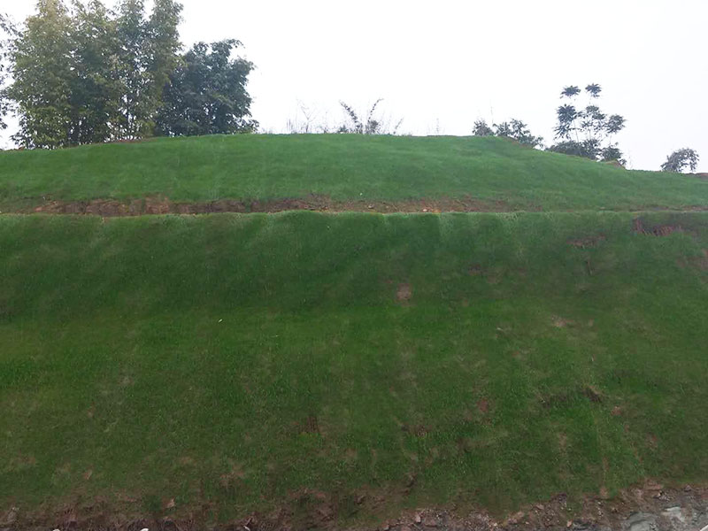 客土噴播邊坡綠化